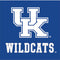 University of Kentucky UK Wildcats Xbox 360 (Includes HDD) Skin